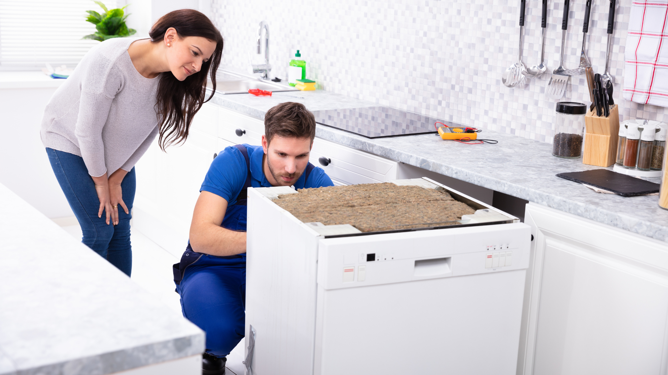 dishwasher problems (1)